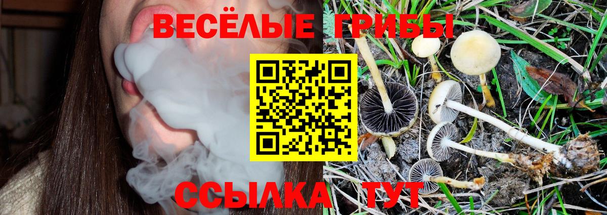 Псилоцибиновые грибы ЛСД Клин