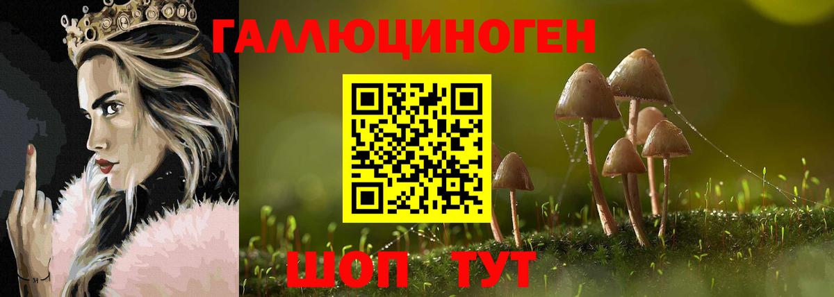 Клин  Псилоцибиновые грибы Psilocybe  Вход с VPN 